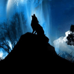 Wolfmaster10 avatar