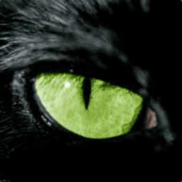 Vinc33x avatar