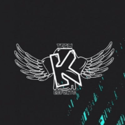 TeamKeSports avatar