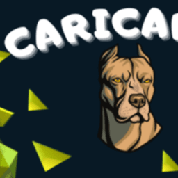 caricarjj avatar