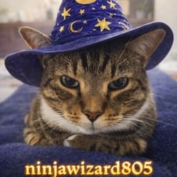 ninjawizard805 avatar