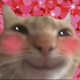 chellyconcarne_ avatar