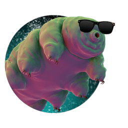 Doc_OOF avatar