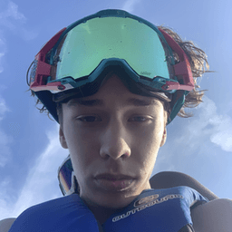 Adwiski avatar
