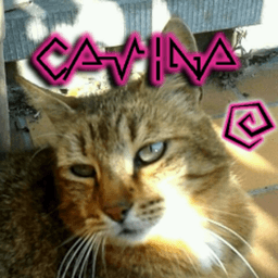 Cawina avatar