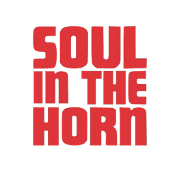 soulinthehorn avatar