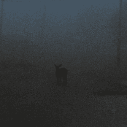 EchoPetrichor avatar