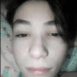 pallobbybr avatar