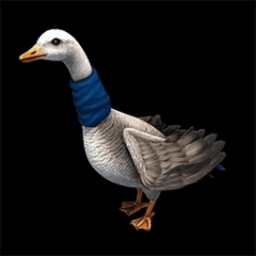 klnek_AoE avatar