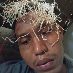 kandangan1 avatar