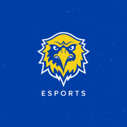 spalding_esports avatar