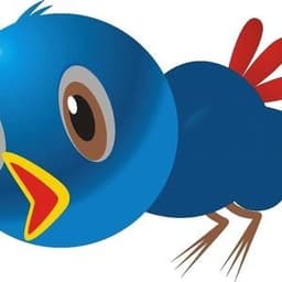 BirdsIviewCam avatar