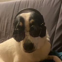 sysless avatar