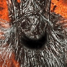 Tundrarich avatar