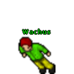 Elwachus avatar