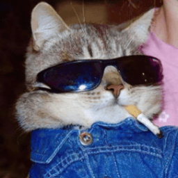 akuIRL avatar