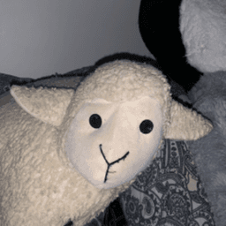 Lambebtw avatar