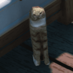 catmintyxd avatar