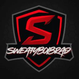 SweatyBoiBrad avatar