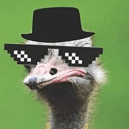 Pvstori avatar