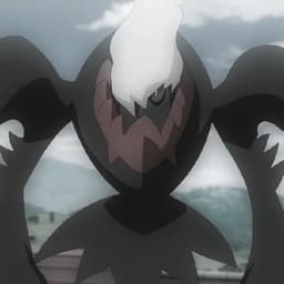 mr491 avatar