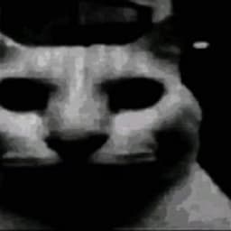 crovean_ avatar
