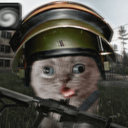c4actbe_tv avatar