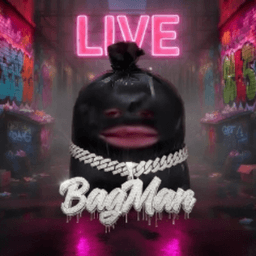 TTVBagMan avatar