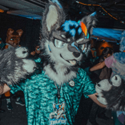 XaiuFox avatar