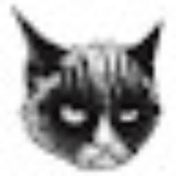 ceesarii avatar