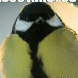 Suomimeme avatar