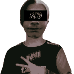 sosison15cm avatar