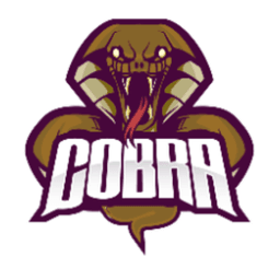 Dave_Cobra_ avatar