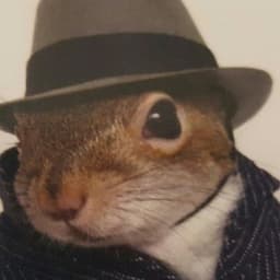 ZDanielCZ avatar