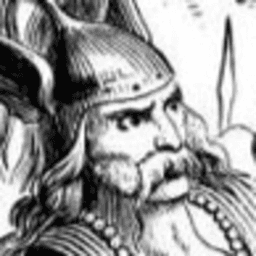 Vae_Victis avatar