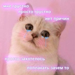 2sadkittycat avatar