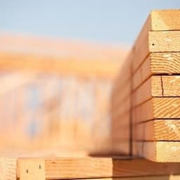 CanadianLumber811 avatar