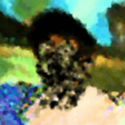 HanOneSail avatar