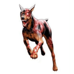 MadDogSpb avatar
