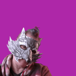 shardvixen avatar