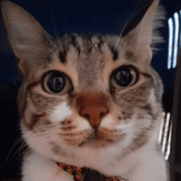 beyugy avatar