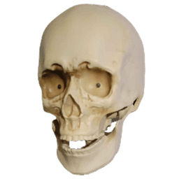 extragreyv avatar