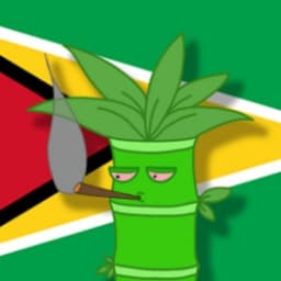 KingNewwy avatar