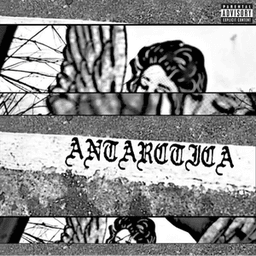 sigzlol avatar