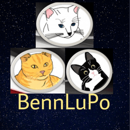 BennLuPo avatar
