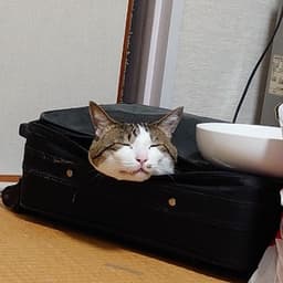 ゆきち7577 avatar