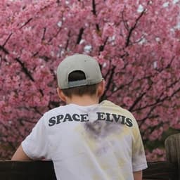 SpaceElvis_RL avatar