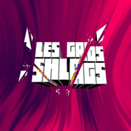 LesGrosShlags avatar