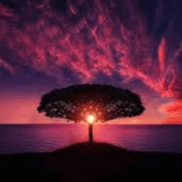 carterjchapp avatar