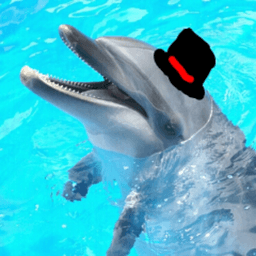 ぬっふぃ avatar